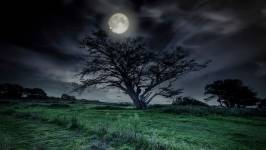 61f11366a66ad-bernard-pirottin-nature-photographie-retouche-photo.jpeg