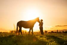 Laura RODRIGUES - OBJECTIF PHOTO