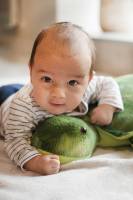 Kristell WASIK - WASIK KRISTELL